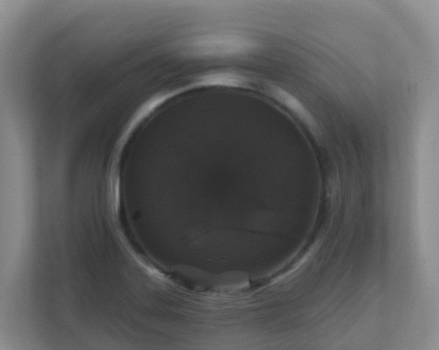 X0000111641323200907241103