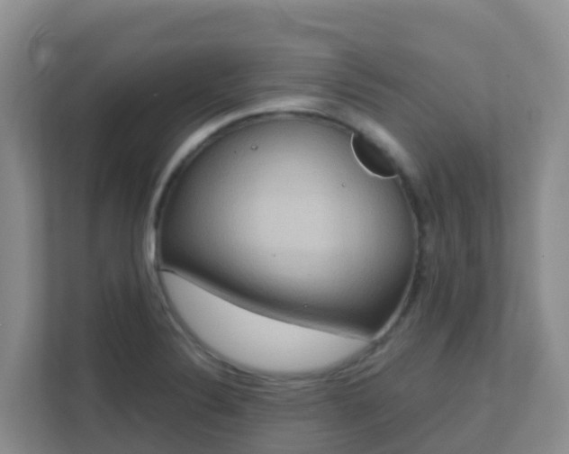 X0000111641324200907241103