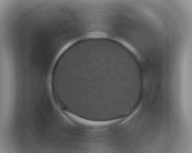 X0000111641325200907241103