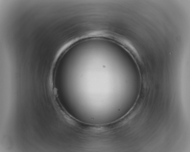 X0000111641328200907241103