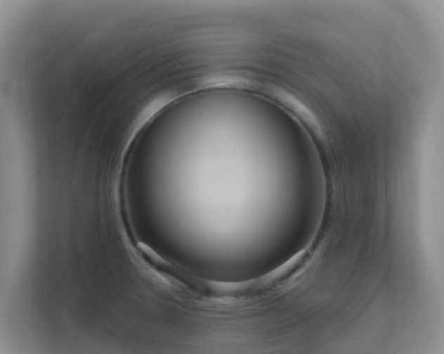 X0000111641330200907241103