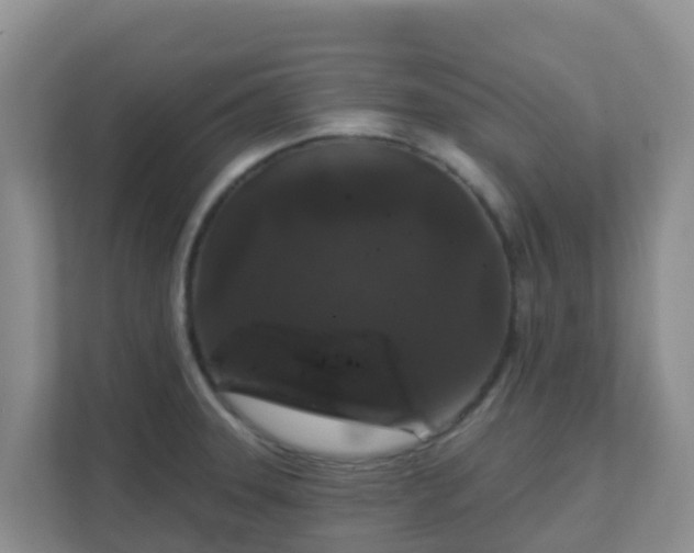 X0000111641331200907241103