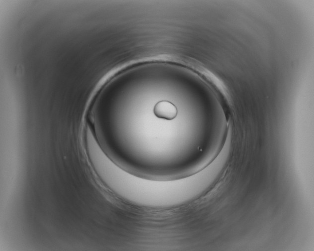 X0000111641332200907241103