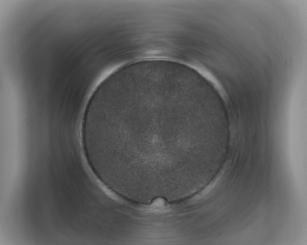 X0000111641333200907241103