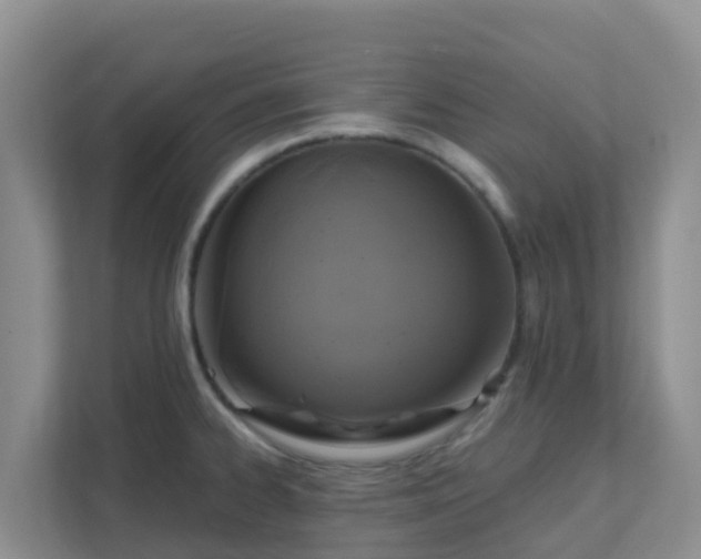 X0000111641334200907241103