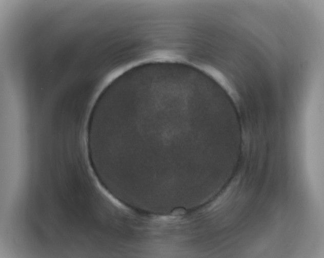 X0000111641335200907241103