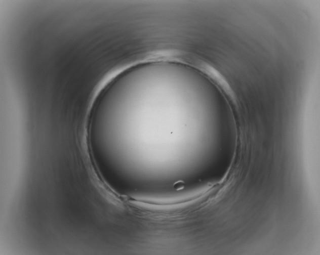 X0000111641336200907241103