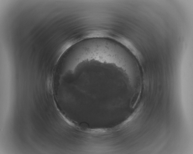 X0000111641337200907241103