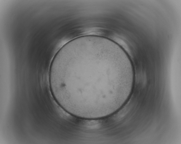 X0000111641338200907241103