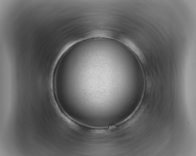 X0000111641339200907241103