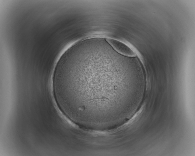 X0000111641341200907241103