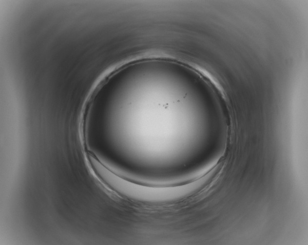 X0000111641342200907241103