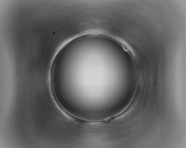 X0000111641343200907241103