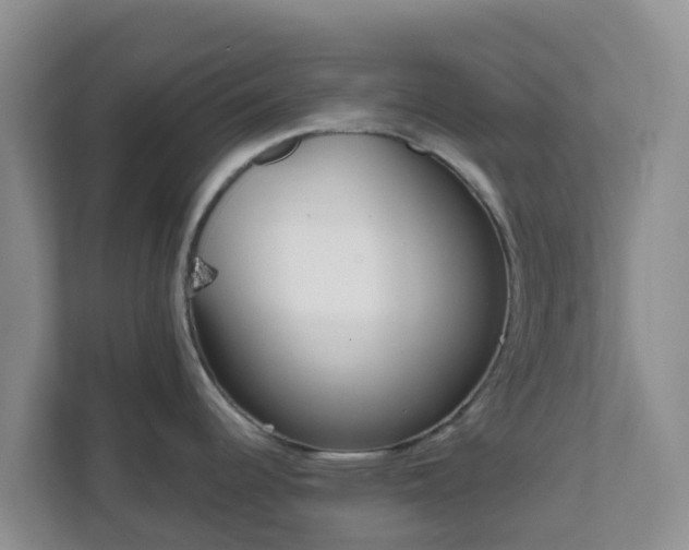 X0000111641344200907241103