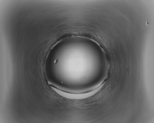 X0000111641345200907241102