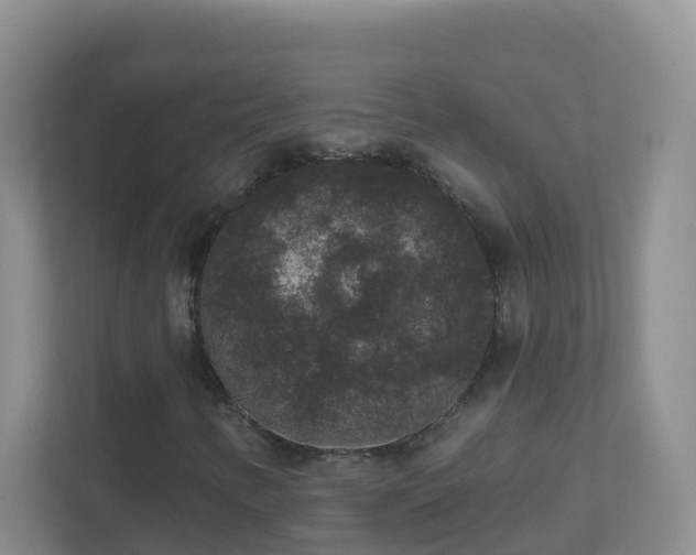 X0000111641346200907241102