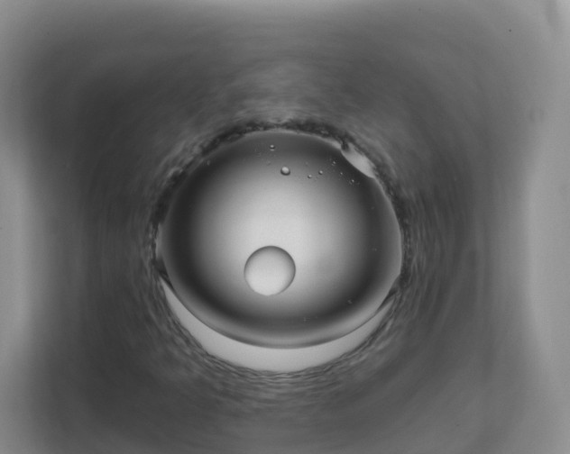 X0000111641349200907241102