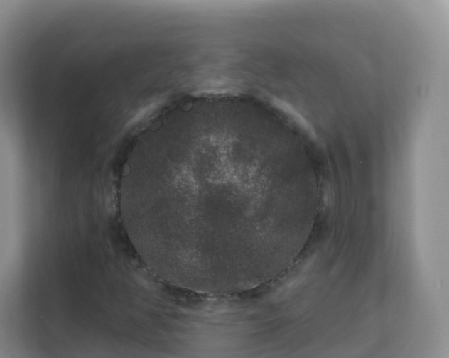 X0000111641350200907241102