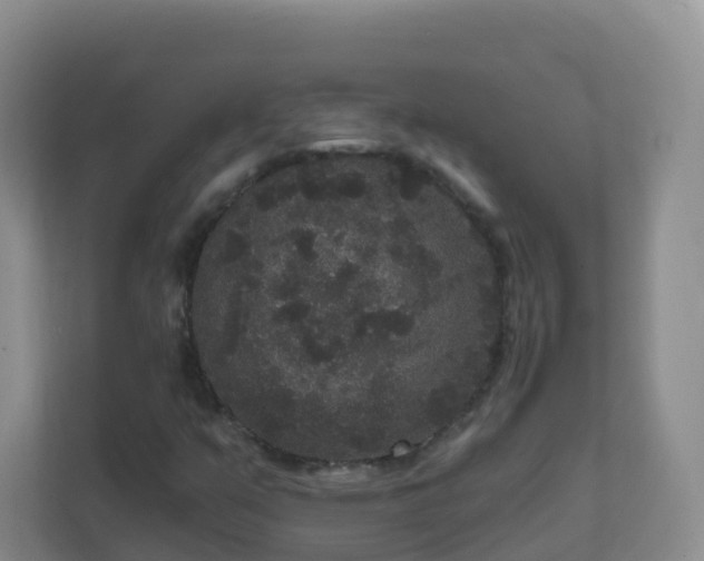 X0000111641351200907241102