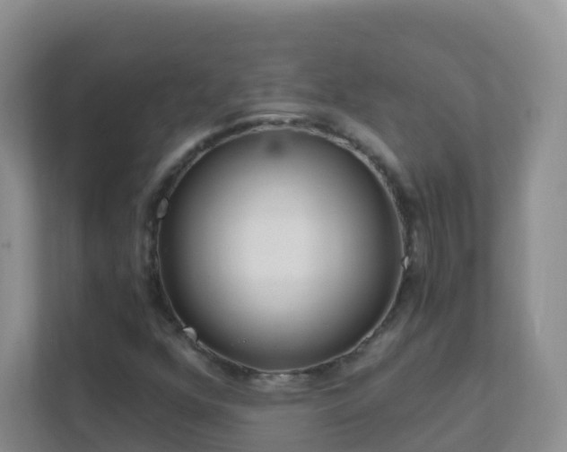 X0000111641352200907241102