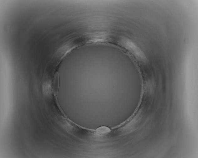 X0000111641353200907241102