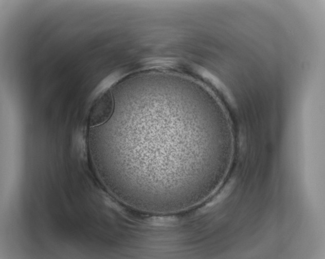 X0000111641354200907241102