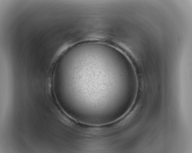 X0000111641355200907241102