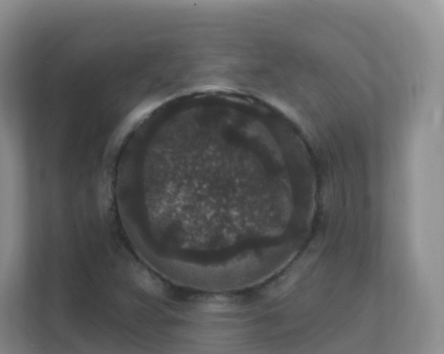 X0000111641359200907241102