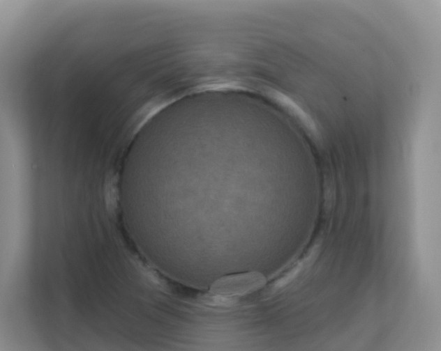 X0000111641361200907241102