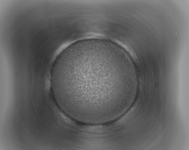 X0000111641363200907241102