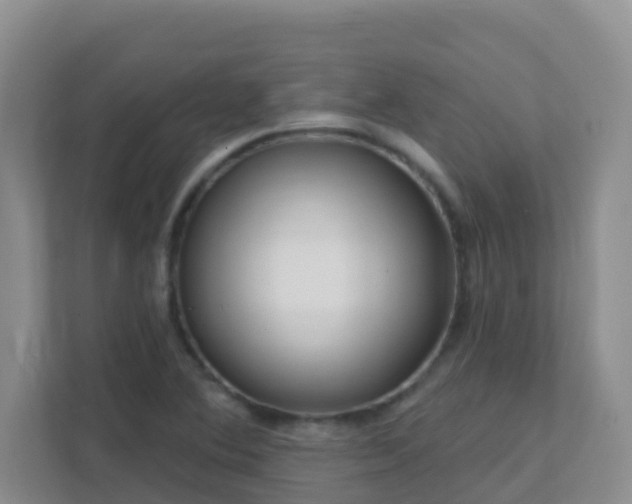 X0000111641364200907241102