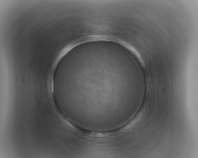 X0000111641365200907241102