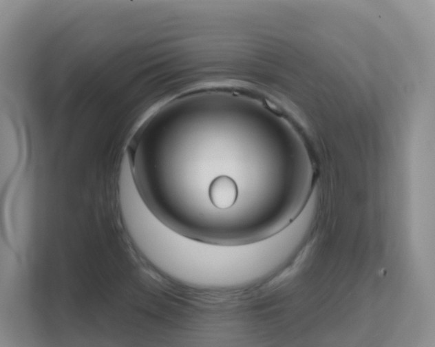 X0000111641369200907241102