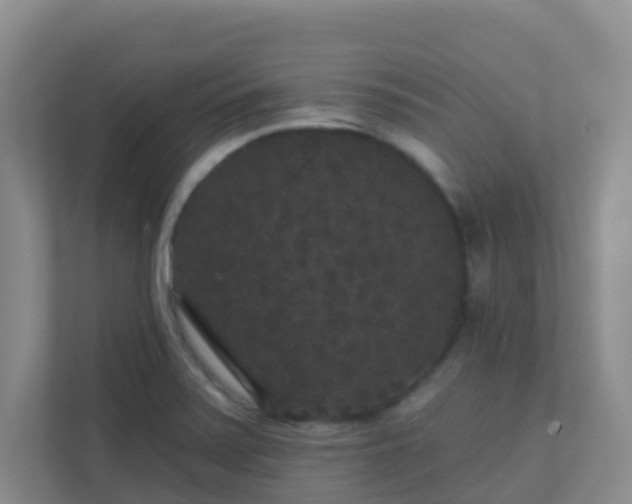 X0000111641371200907241102