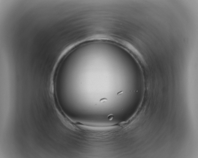 X0000111641372200907241102