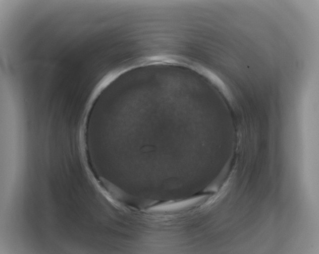 X0000111641373200907241102