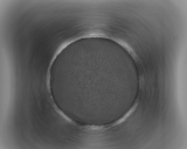 X0000111641374200907241102