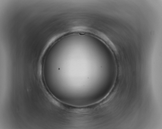 X0000111641376200907241102