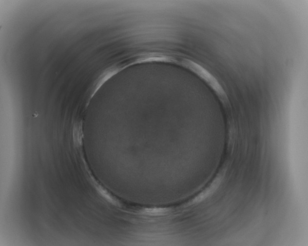 X0000111641377200907241102