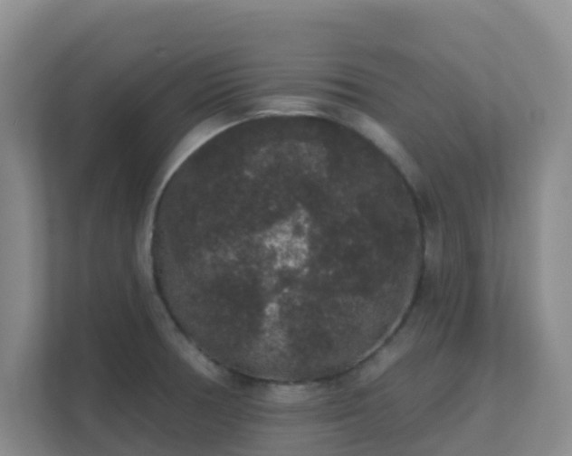 X0000111641378200907241102