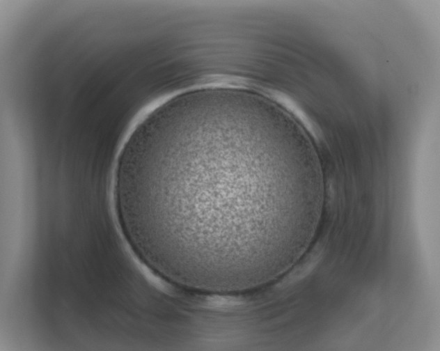 X0000111641379200907241102