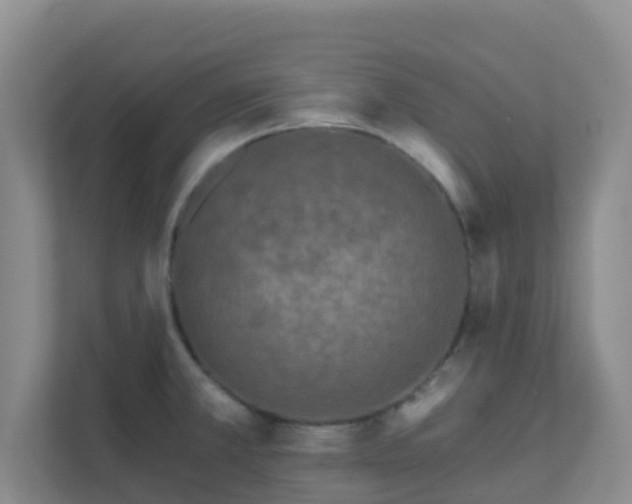 X0000111641381200907241102