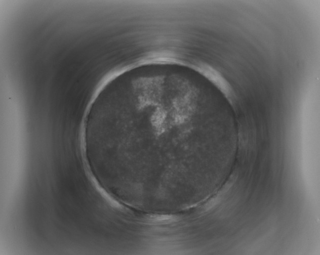 X0000111641382200907241102