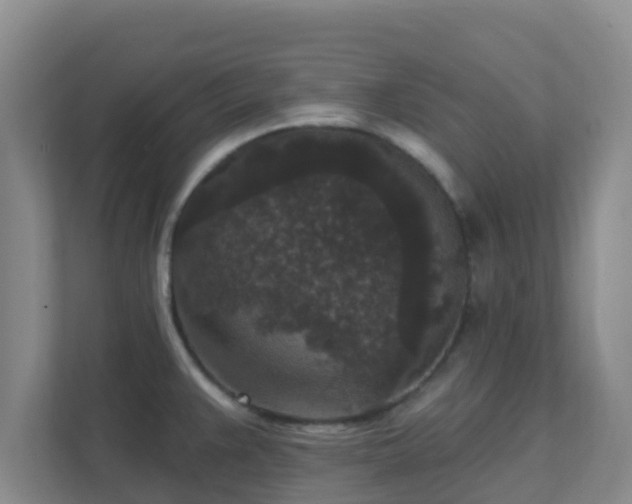 X0000111641383200907241102