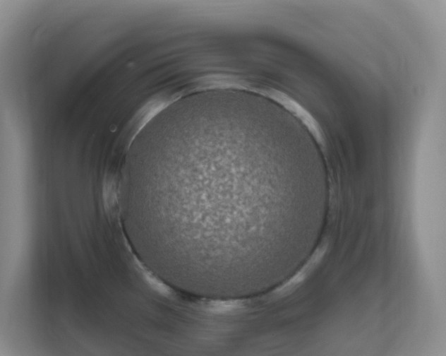 X0000111641385200907241102