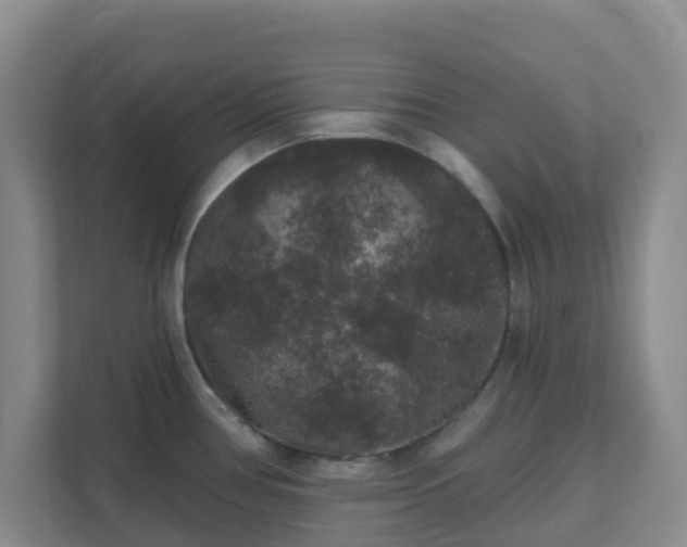 X0000111641386200907241102