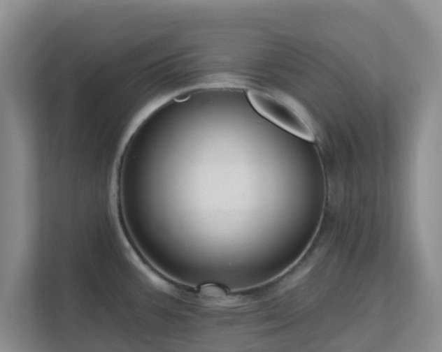 X0000111641387200907241102