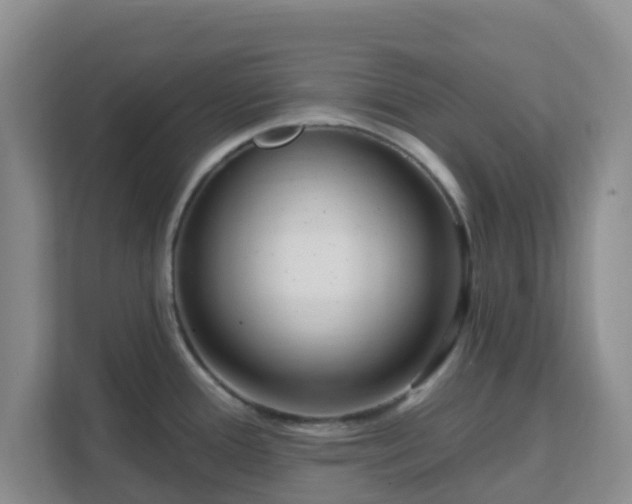 X0000111641388200907241102