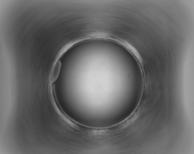 X0000111641389200907241102