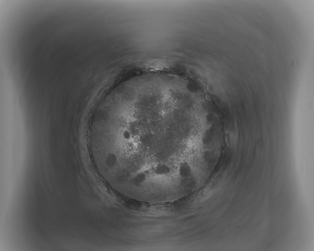 X0000111641393200907241101